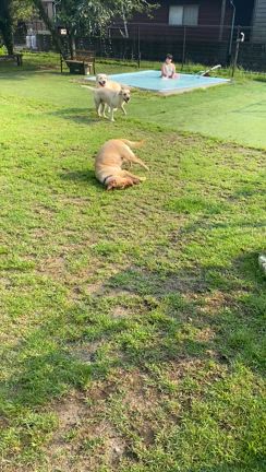 ５ヶ月ぶりのテント！お盆キャンプの記事動画