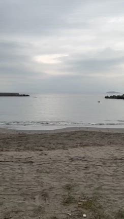 はしゃいだ黒木笑の記事動画