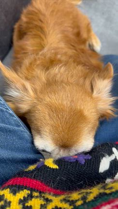 今度はうな君の病院への記事動画