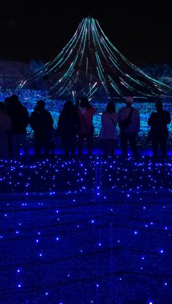 ババァ死にかける(￣▽￣;)からのV字回復の記事動画