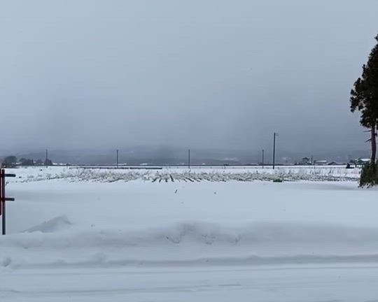 バンドとラジオとみにくいアヒルの子の記事動画