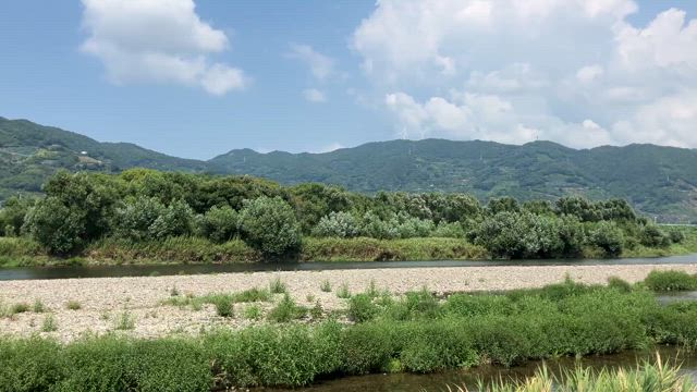 家族そろって墓参りと久しぶりの川遊びの記事動画