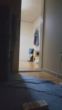 キャットタワ～が˚°˚なෆあずきちゃんෆ✨でchu❣️の記事動画