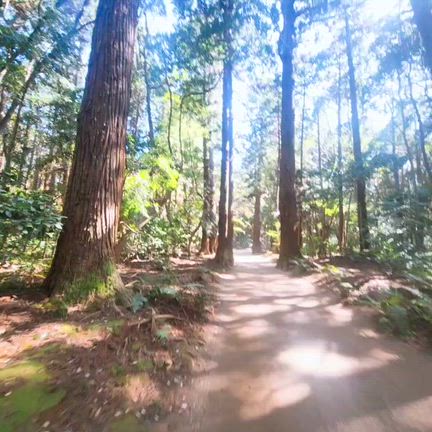 また再開することになりました∥の記事動画