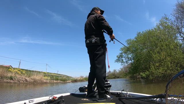 今年大活躍したロッドと来年導入予定したいロッド！の記事動画