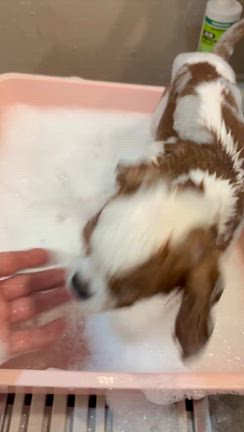 はじめまして！の記事動画