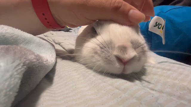 今日は病院・・・の記事動画