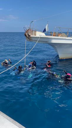 23日ダイビング＆ナイト便の記事動画