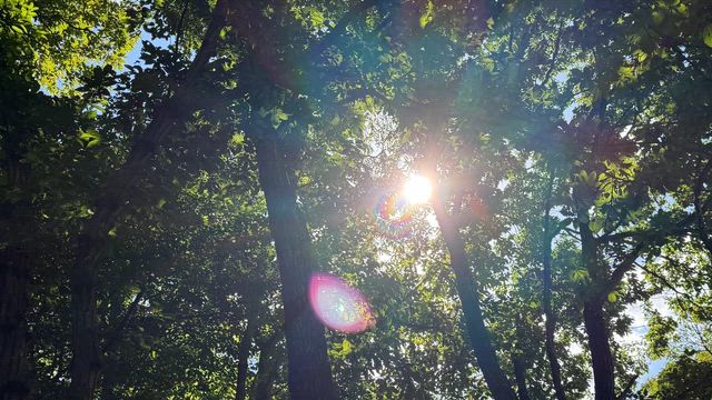 ◆【龍神・金の珠動画】あなたには最高の幸せを享受する資格があるの記事動画