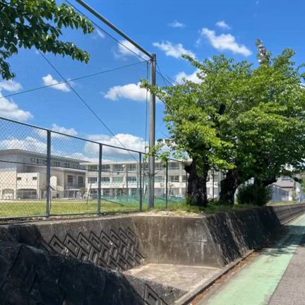 散歩後ノンアルのすゝめの記事動画