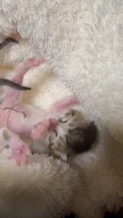 いいご縁がたくさんの記事動画