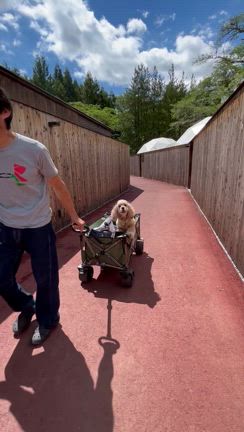 頑張ったご褒美♪の記事動画