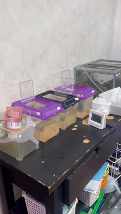 温室こうなりました。。の記事動画