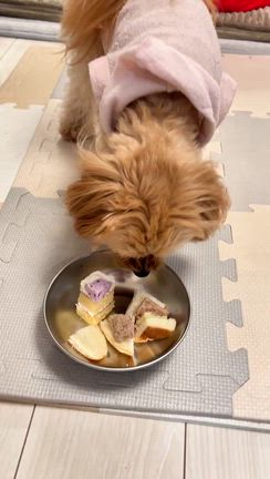 サンタさんがやってきたの記事動画