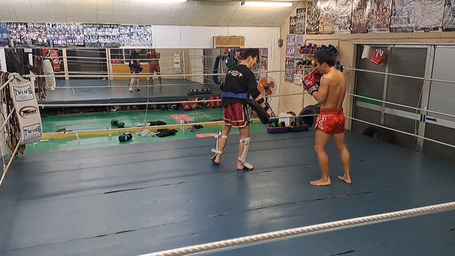 初練習の記事動画