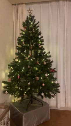 クリスマスツリー^ ^の記事動画