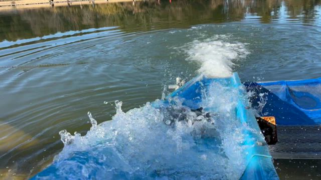 １月放流情報、入場料金・営業時間改定のお知らせ。の記事動画