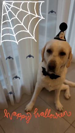 07年10月31日①　俺の相棒の記事動画