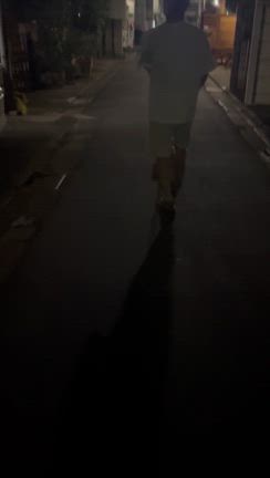 よるんぽと晩御飯の記事動画