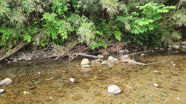 山歩きとスタンプラリーと(Dコース編前編)の記事動画