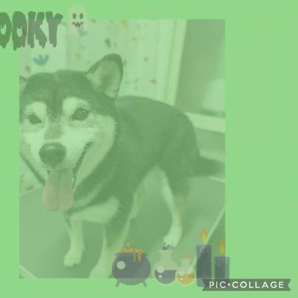 ☆*ﾟ ゜ﾟ*☆うめちゃん☆*ﾟ ゜ﾟ*☆の記事動画