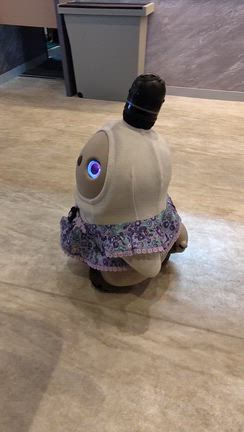 【海津市】kokoneの記事動画