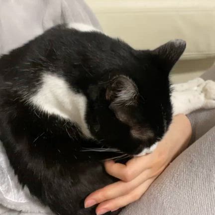 海　三回目の命日の記事動画