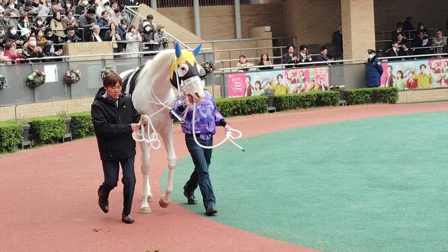 ☆先週のPOG結果☆の記事動画