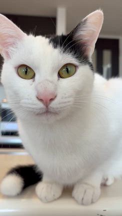 そろそろ花粉？の記事動画