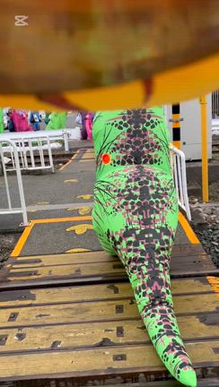 ティラ活が始まりました(//∇//)の記事動画