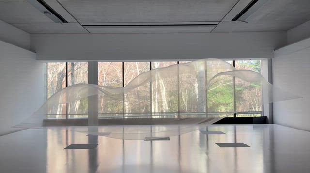 SPRING　わきあがる鼓動の記事動画