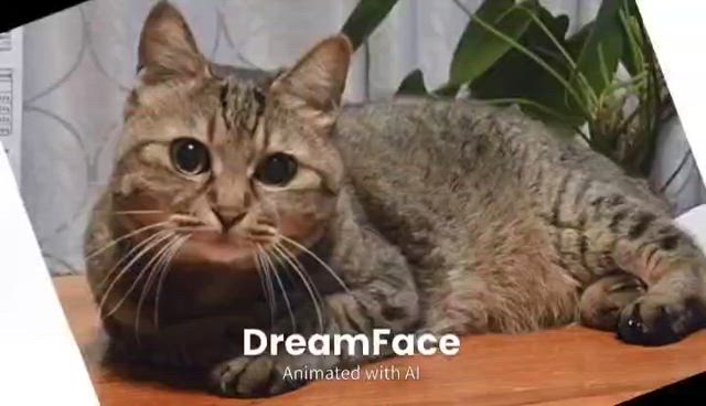 なおの16歳とかーちゃんの16年目の記事動画