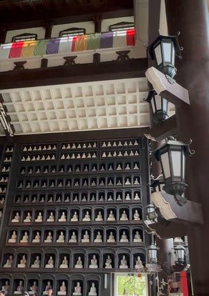 修行道場「永平寺」と映えスポット「越前大仏」の記事動画