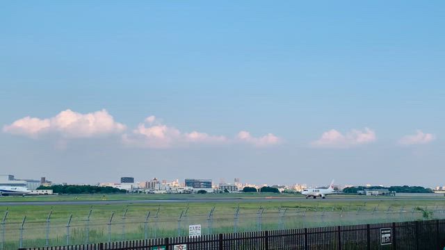 京都の記事動画