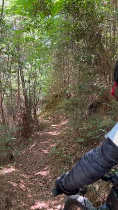 晴天MTBの記事動画