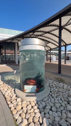 鬱病の発達障害が兵庫県へ旅行へ行く3日目の記事動画