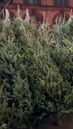 ブラックならぬデトックスフライデーの記事動画