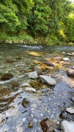 (朝活)ドライブ　秋川渓谷の記事動画