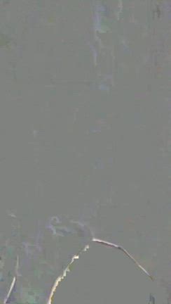 久々に涙した…春馬くん………逢いたい…の記事動画