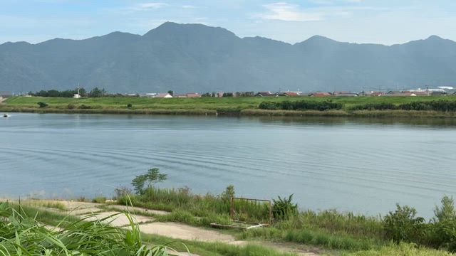 1年半ぶりの土手歩き(散歩)の記事動画