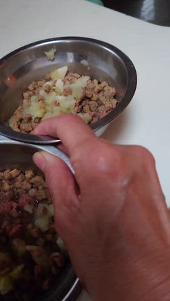 小夏千夏元気ですの記事動画