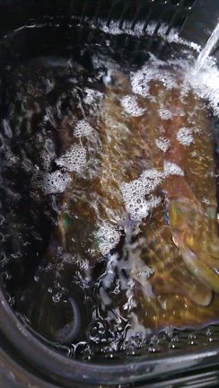 16㈭　月も半ばを過ぎましたの記事動画