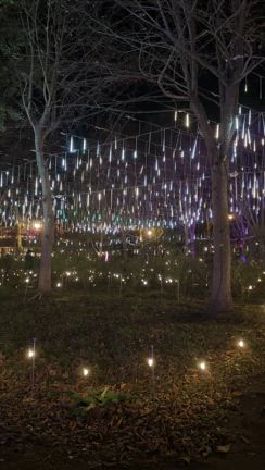 デートスポットにおすすめ♡やくらいガーデンの記事動画