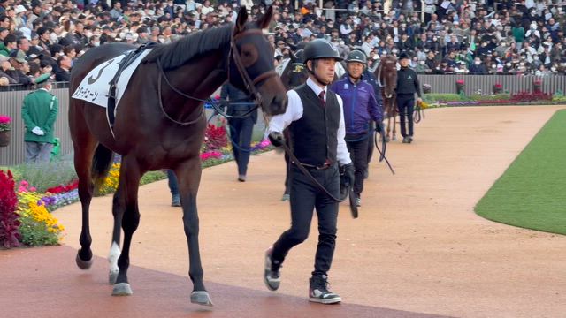 スターチューンついにデビューの記事動画