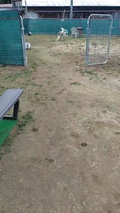 ラフィー、9ヶ月になりました✨の記事動画