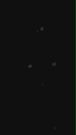 ９月１日（日）♦❤エリア長バチバチくんブログ♠♣の記事動画