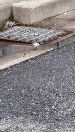 ２月20日(金)の記事動画