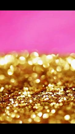 2026/02/06の記事動画