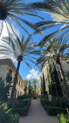 OCライフって感じ。の記事動画