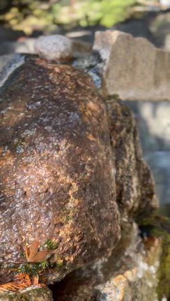 柿田川湧水群①ソロ活一人旅 水の音に癒されにの記事動画